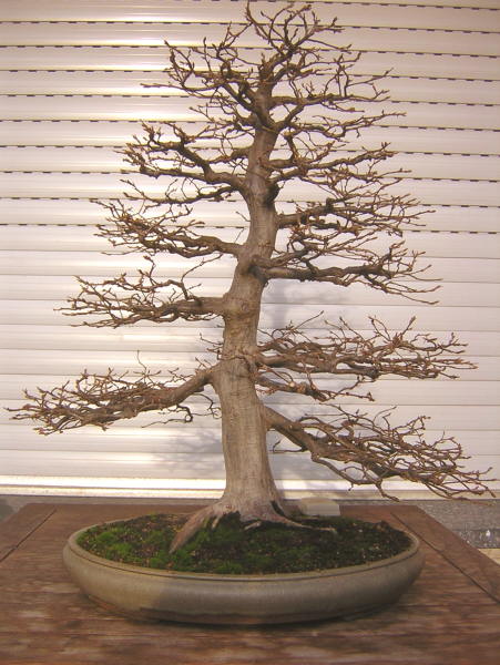 DSCN1759.JPG