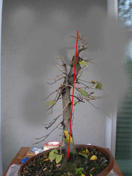 hain3 -3vis werner1008.JPG