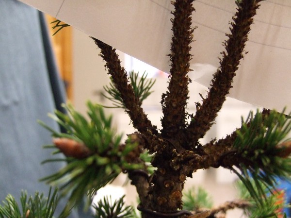 new_2008_1102kiefer0071.jpg