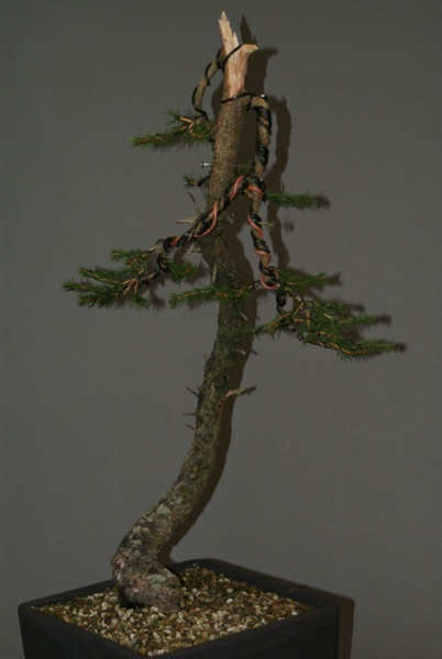 Endergebnis Rückseite