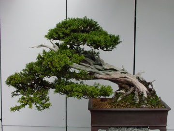 Test 009.jpg