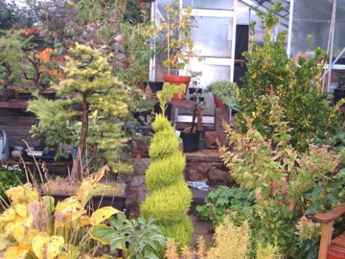 12 post Atumn Garden 16102004.JPG