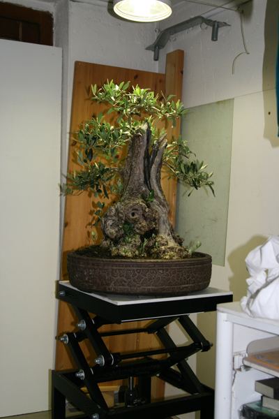 Zopf-lampe.jpg