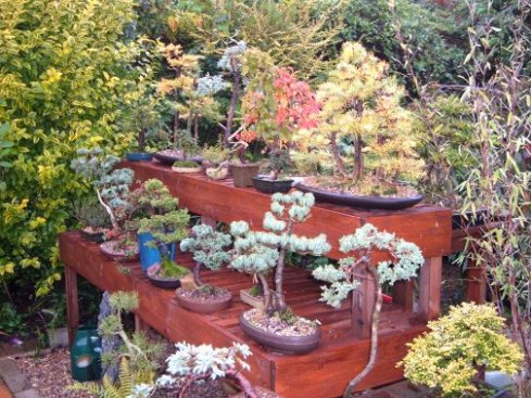 13 post Autumn Garden 16102004.JPG