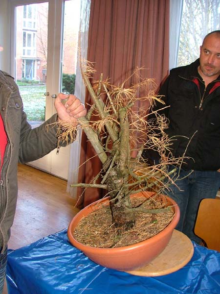 Mein Lärchenbesenstiel begeisterte zunächst niemanden