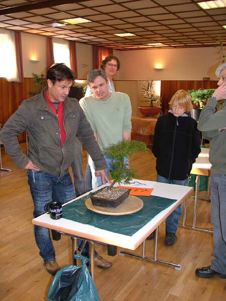 Nolo hatte einen zierlichen Wacholder mit, aber ein sehr spannendes Vorhaben!