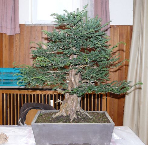 2008 vor Gestaltung