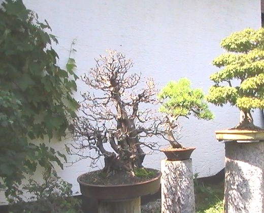 A-PIC_0109.JPG