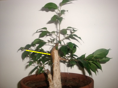dsc01521_web3.jpg