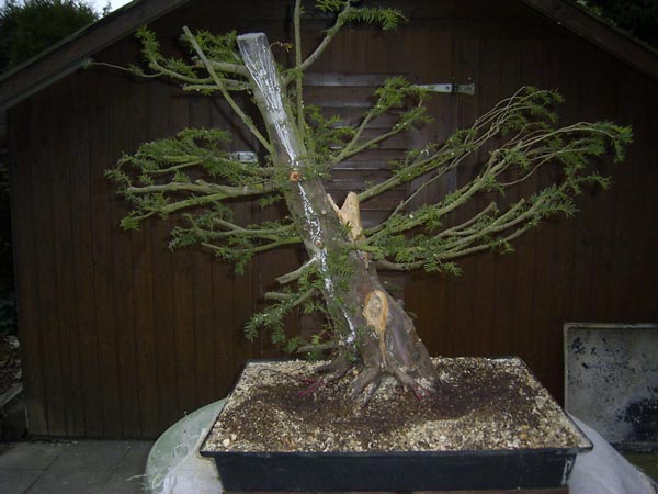 Vorher
