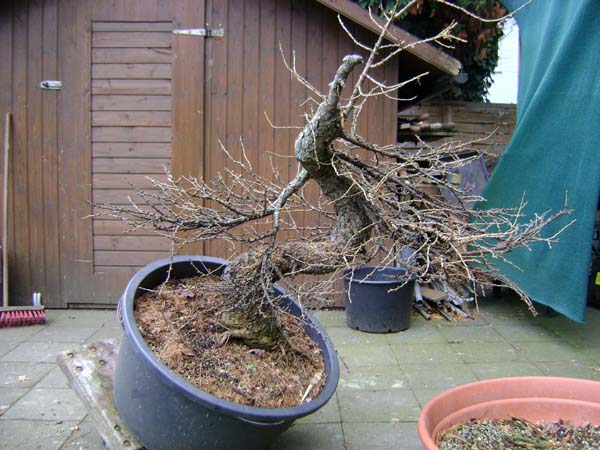 geplanter Pflanzwinkel
