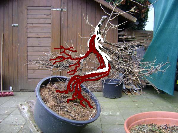 l_rche5_164.jpg