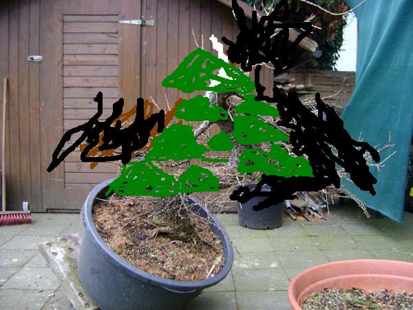 Planung.jpg