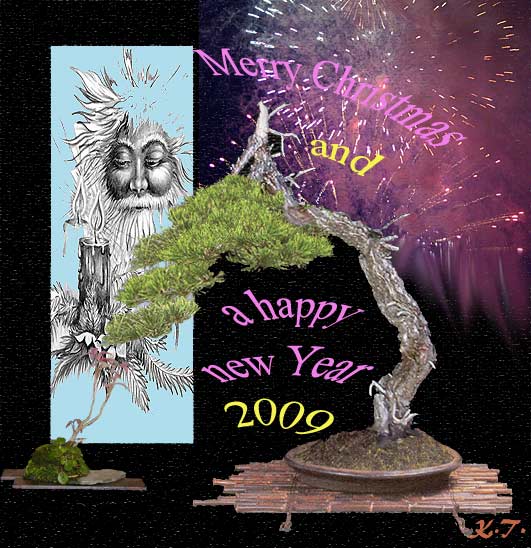 weihnachtskarte_2008.jpg