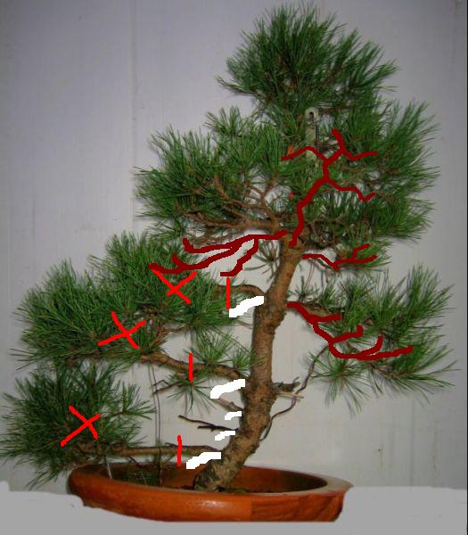 dezember_2__08_001.jpg