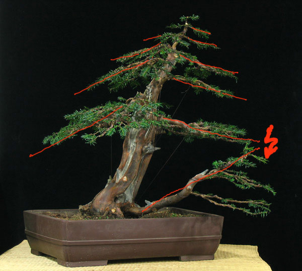 img_26674.jpg