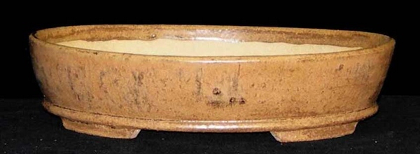 Schale_EG_oval_Tigerauge.jpg