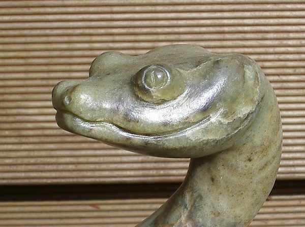 Kaa im Portrait