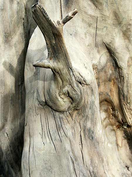 Details01.jpg