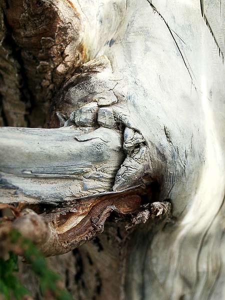 Details04.jpg