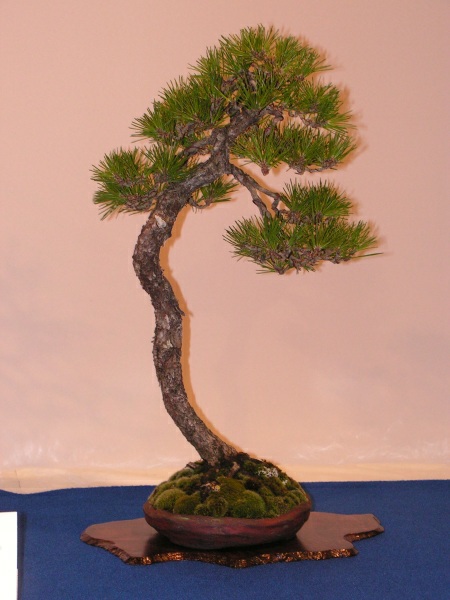 PICT6170.jpg