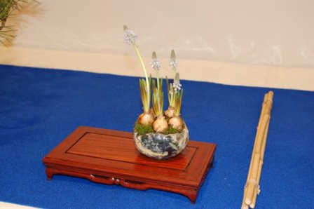 DSC_8912.JPG