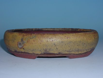 Schale239.jpg