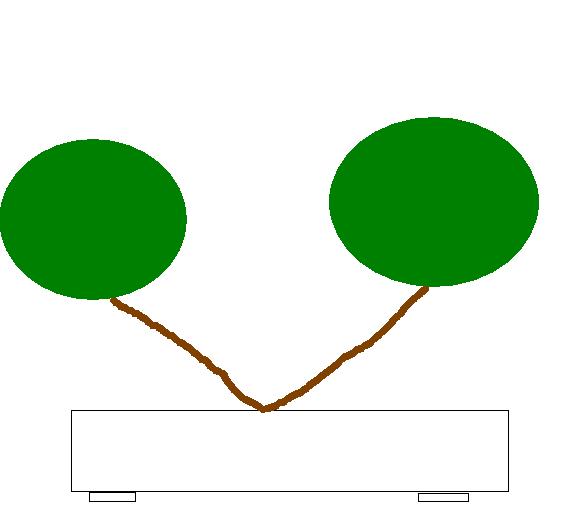 Ihr werdet euch noch wundern, in 20 Jahren schlagt ihr den Kokufu-Bildband auf und auf der ersten Seite seht ihr diesen Baum ;-) (Achtung, Ironie!)