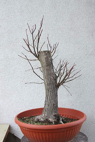 Linde_Shari_01.jpg
