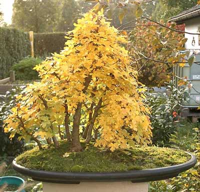 Irgendwann Herbst 2003