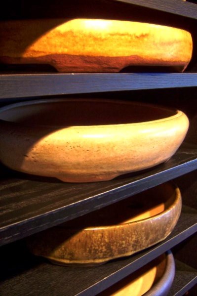 SchalenPeterKrebs6.jpg