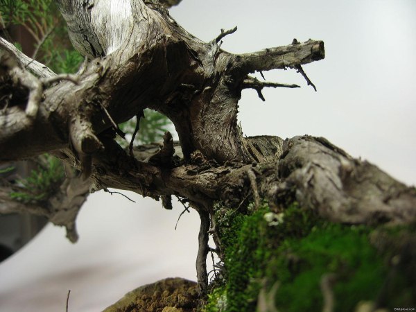 bm_sabina_detail4.jpg