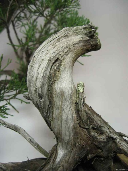 bm_sabina_detail3.jpg