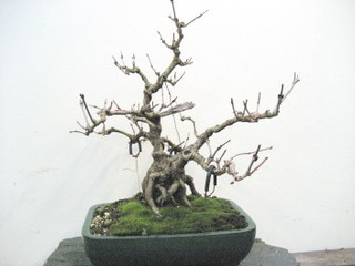 IMG_0035-3.jpg