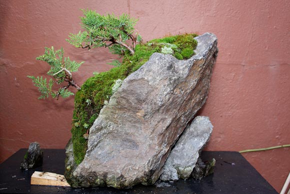 der Holzkeil gehört normal nicht dazu dient nur momentan als Stütze da der Felsen nicht ganz von alleine Stehen kann ;)
