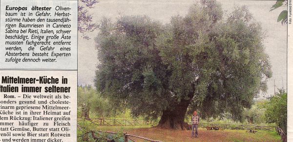 Kronen Zeitung, 28.10.04