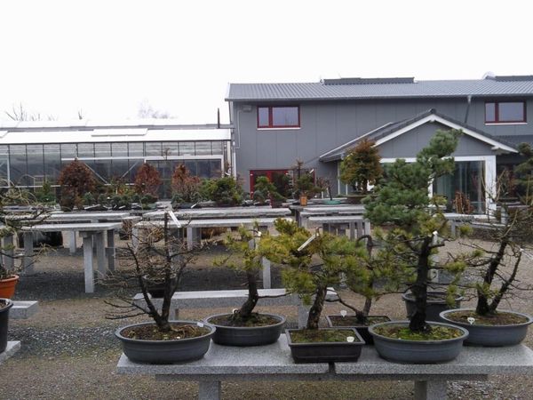 Foto0031.jpg