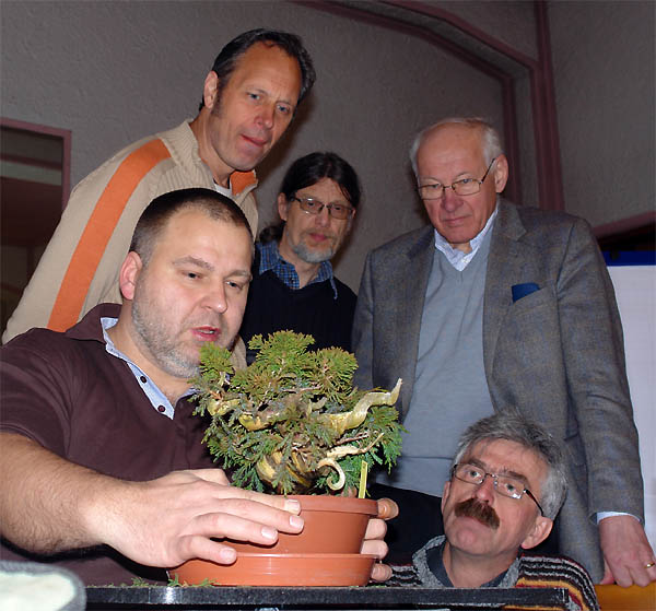 Pflege 496 600 2009.JPG