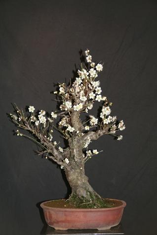 comp_IMG_4027 neu.JPG