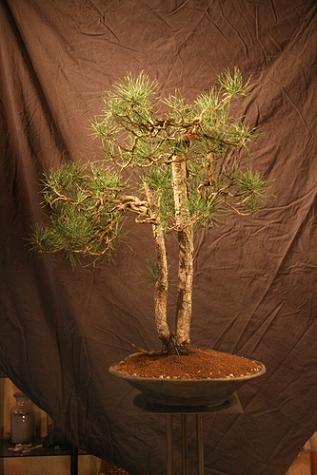 comp_IMG_4029 neu.JPG