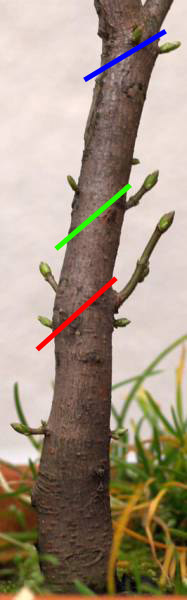 px5.jpg
