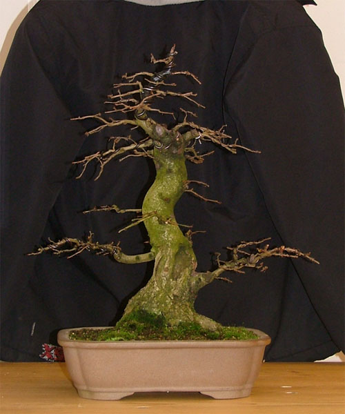 DSCF4242k.jpg