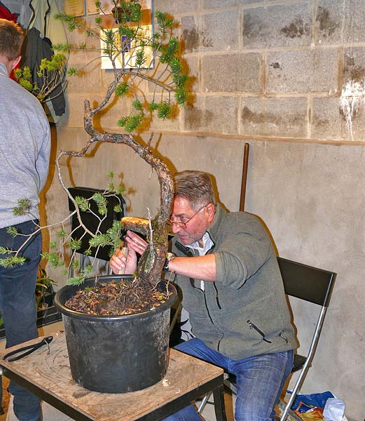 Axel02.jpg