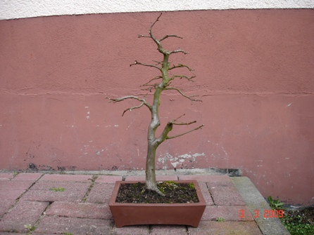 ... und danach
