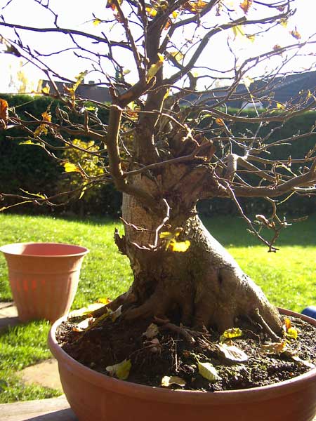 Herbst 07