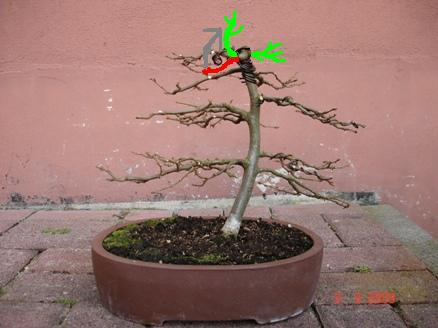 Neue Idee...???