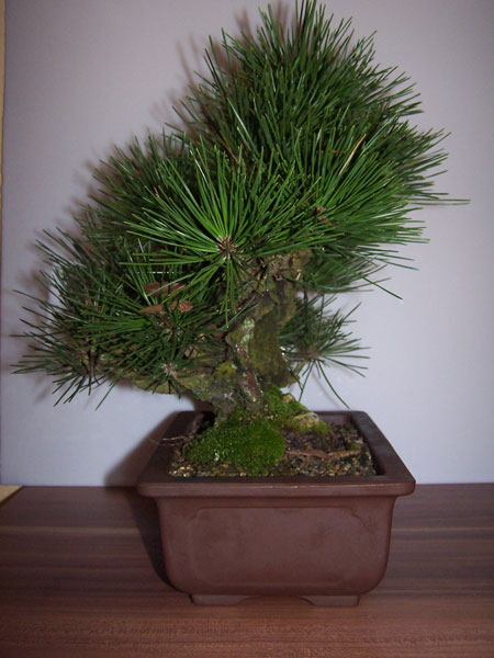 100_1122.jpg