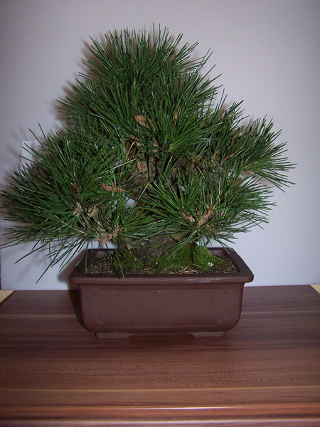 100_1126.jpg