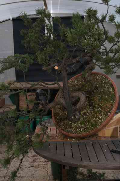 PICT8256.JPG