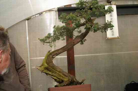 PICT8121.JPG